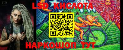 крисы Гагарин