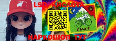крисы Гагарин