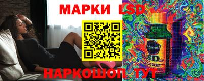 прущие крисы Гатчина