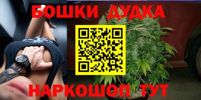 прущие крисы Гатчина