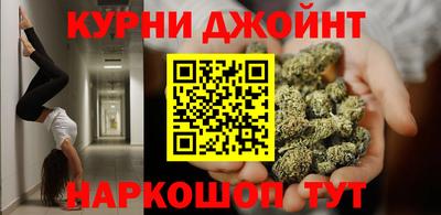 ALPHA PVP Гай