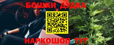 крисы Гагарин