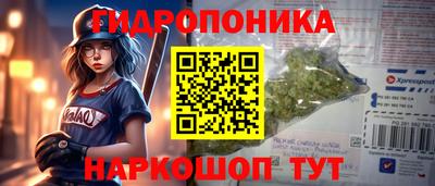 прущие крисы Гатчина