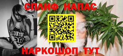 крисы Гагарин