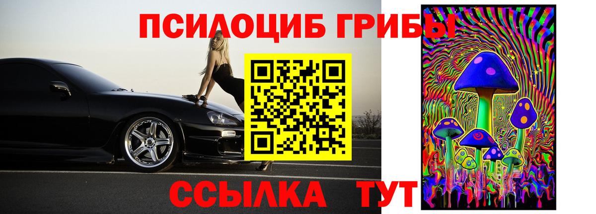 Псилоцибиновые грибы мицелий  Галлюциногенные грибы Cubensis  Белгород  как найти закладки  Вход с VPN 
